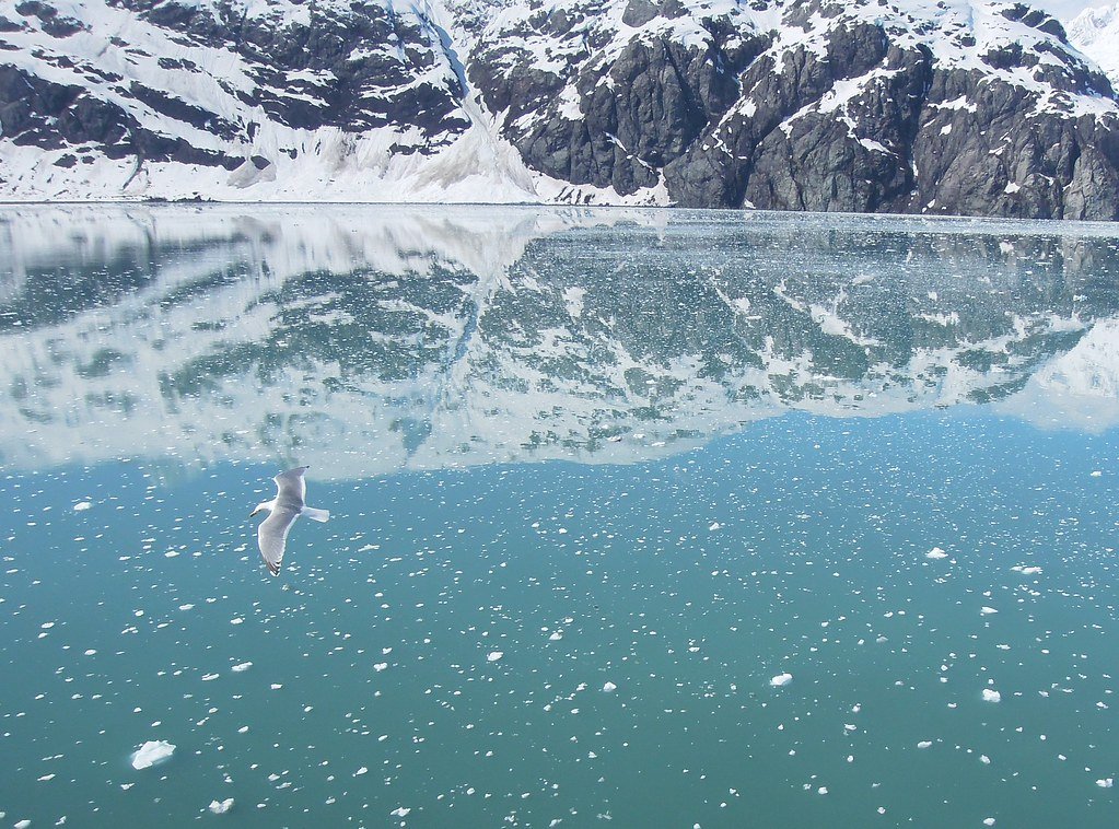 Glacier Bay National Park