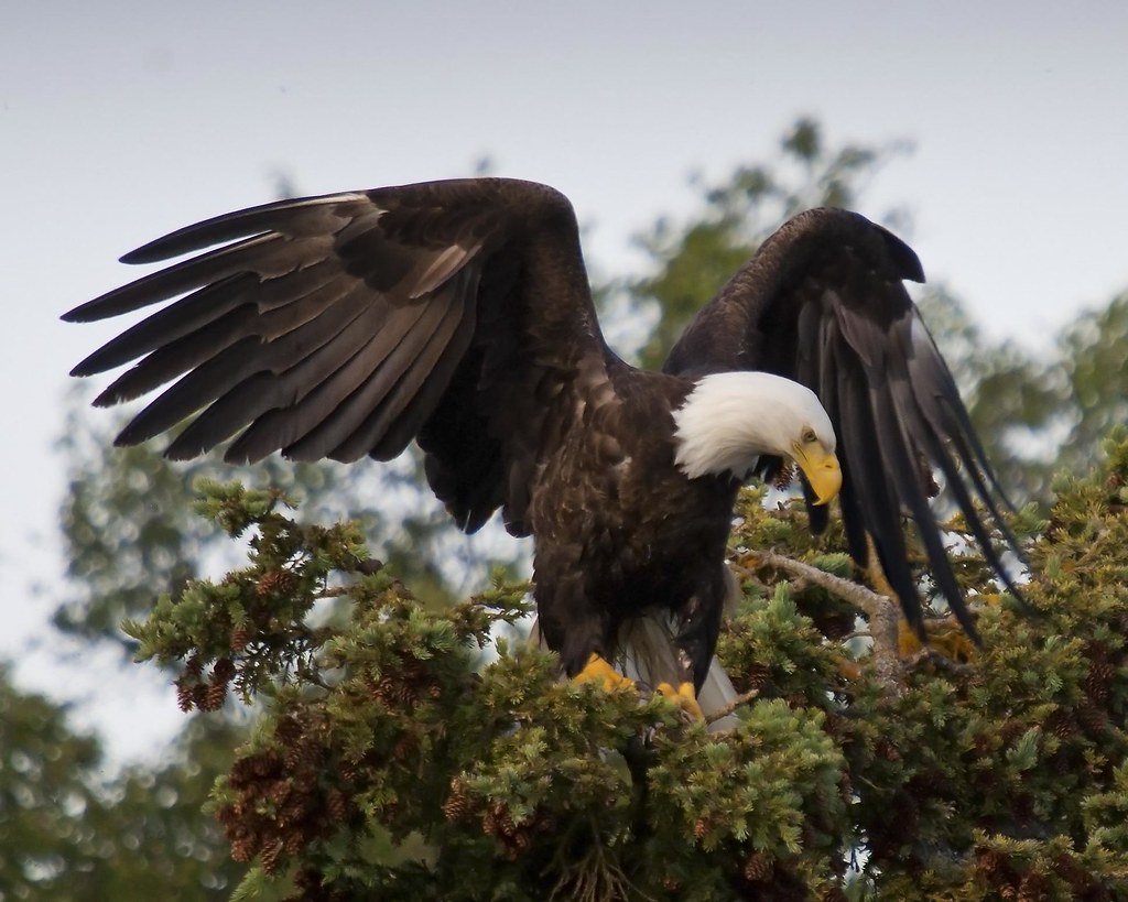Kenai Fjords National Park