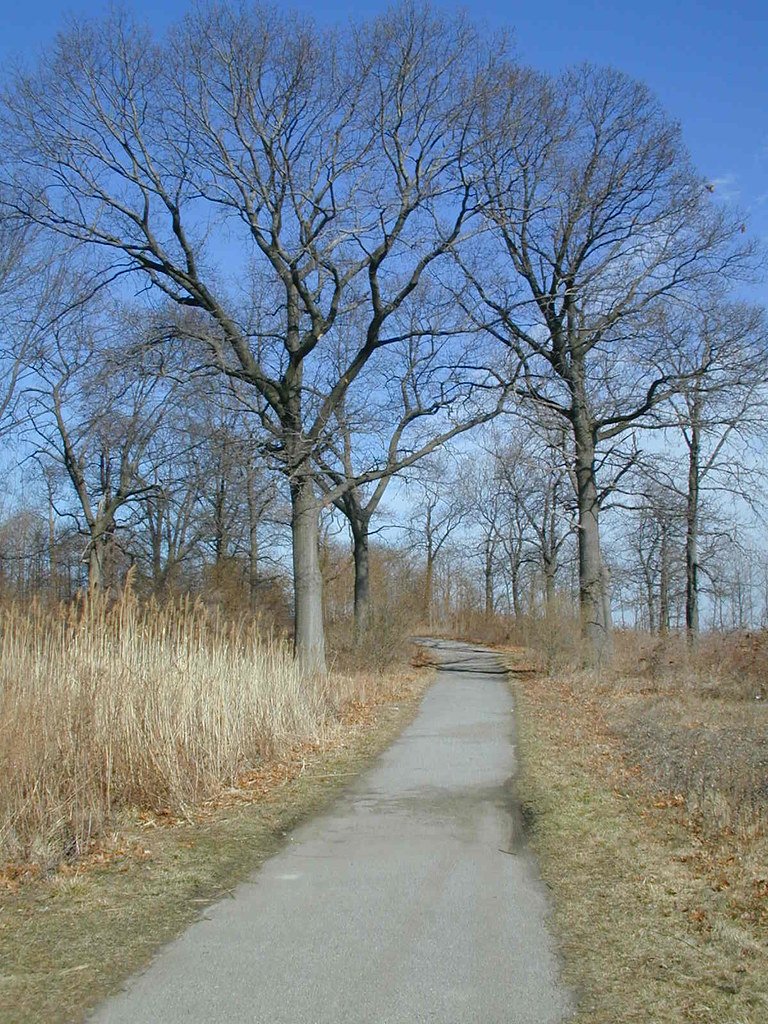 Nemours Estate