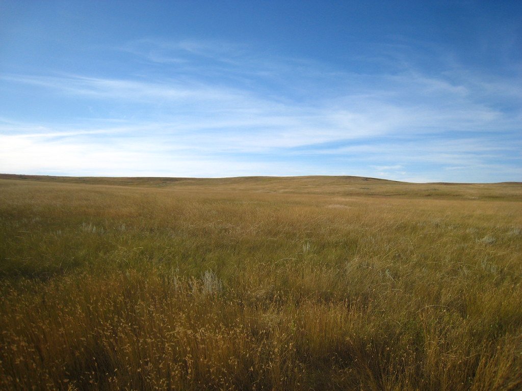 Theodore Roosevelt National Park