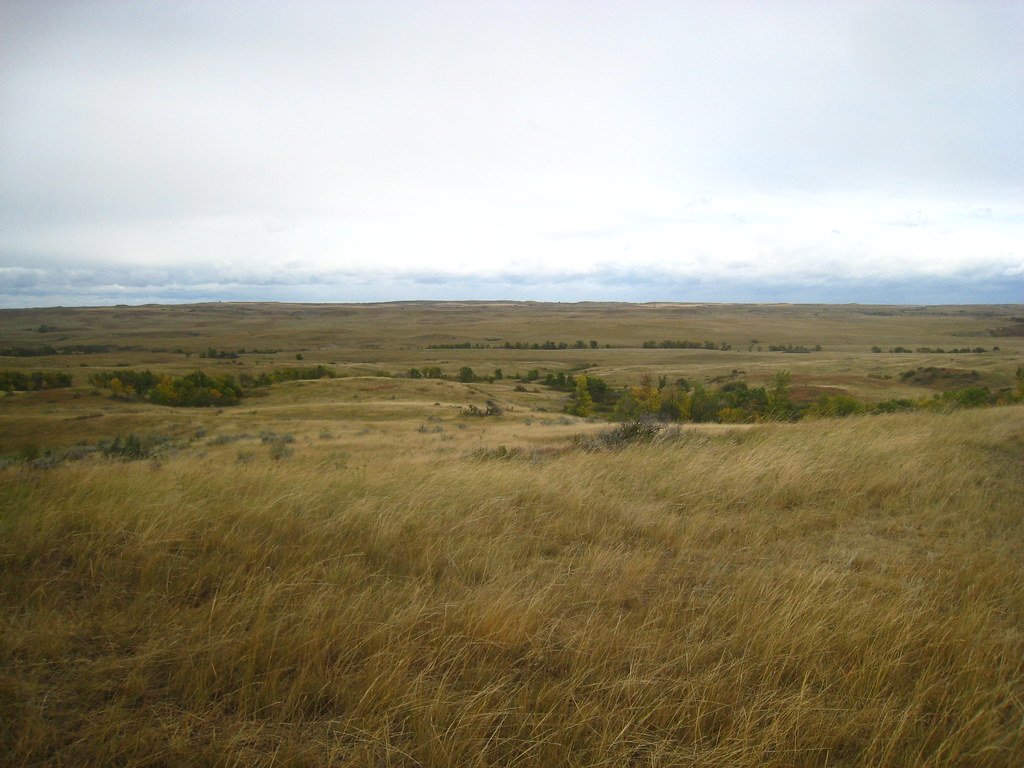 Theodore Roosevelt National Park