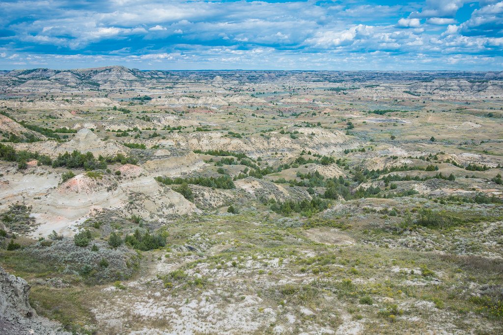 Theodore Roosevelt National Park