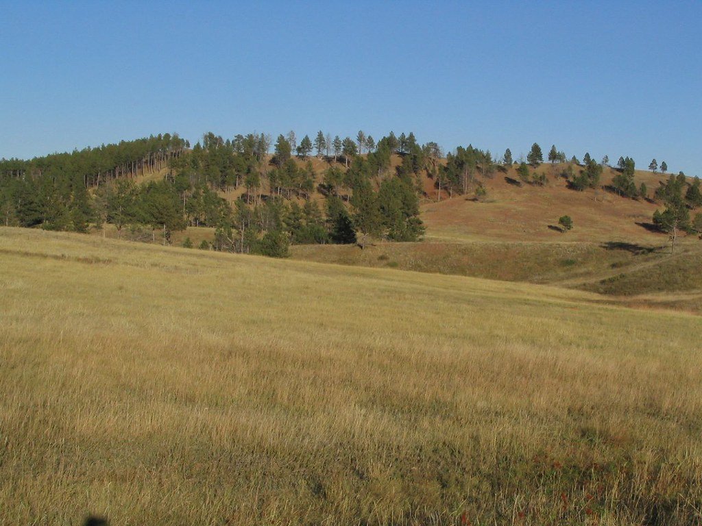Wind Cave National Park